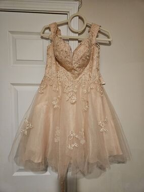 Girls' Formal Lace & Tulle Dress in Blush Cream